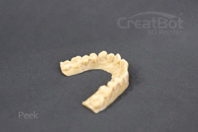CreatBot F160-PEEK